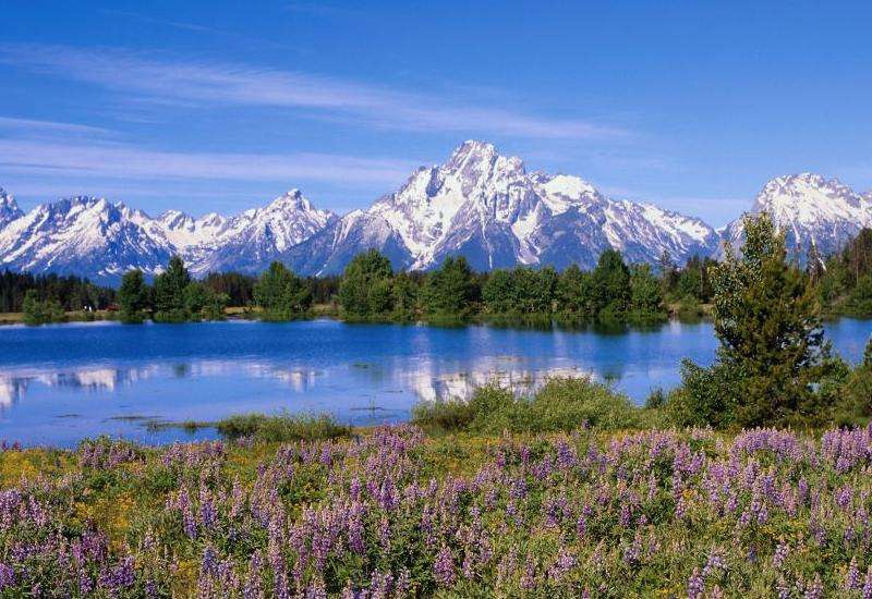 防潮闸(文/陈素新)-七步楼