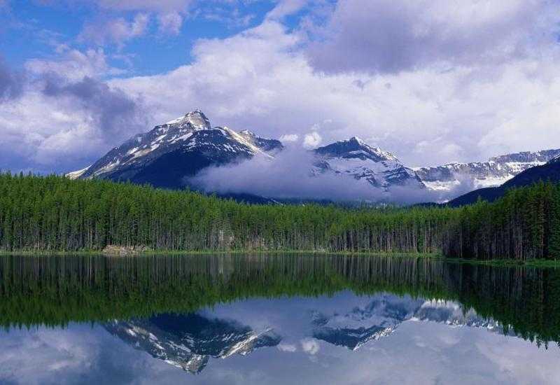 丰南大事记(1957-1959)-七步楼